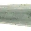 Weißer rechteckiger Teller - Große Teller - 32,4 x 16 cm